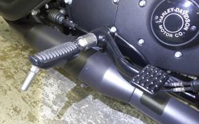 HARLEY XL1200NS 2018