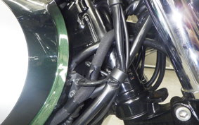 KAWASAKI W800 2020 EJ800B