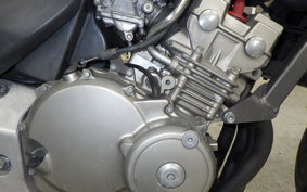 HONDA HORNET 250 1998 MC31
