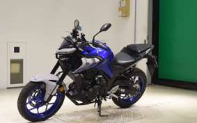 YAMAHA MT-25 2010 RG43J