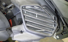 YAMAHA CYGNUS Griffus