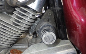 YAMAHA VIRAGO 250 3DM