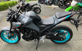 YAMAHA MT-03 2024 RH21J