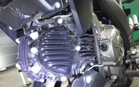 KAWASAKI Z125 PRO 2010 BR125H