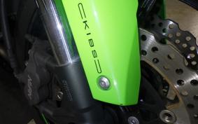 KAWASAKI NINJA ZX-6R A 2019 ZX636G