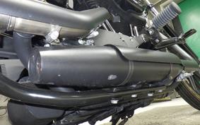 HARLEY XL1200NS 2020