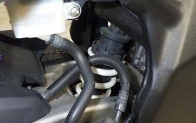 HONDA CBR250RR MC51