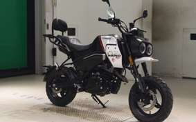 OTHER +CF PAPIO X0-2 2022