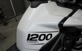 TRIUMPH TIGER EXPLORER 2019