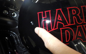 HARLEY FXLRST1920 2026
