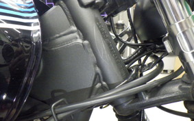 KAWASAKI W175 SE 2024