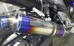 SUZUKI GSX-250R