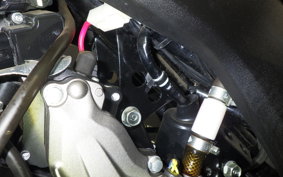 KAWASAKI Z125 PRO 2000 BR125H
