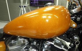 HARLEY XL1200V 2015