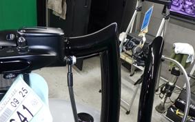 HARLEY FXBBS1870 2025