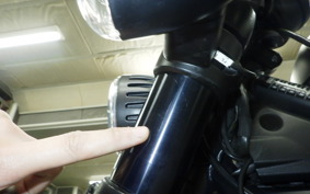 HARLEY RH1250S 2024