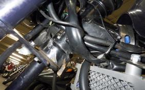 HONDA MONKEY 2023 Z50J