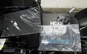 HARLEY FLTRXSTSE1980CVO 2024