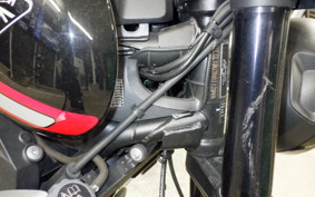 TRIUMPH TRIDENT 660 2021