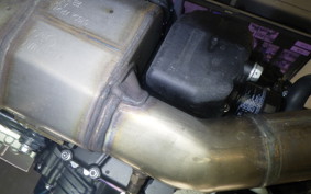 YAMAHA XSR900 GP 2024 RN96J