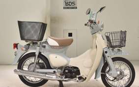 HONDA LITTLE CUB 2004 AA01