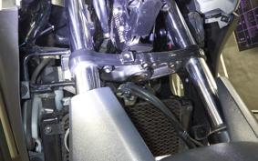 SUZUKI V-STROM 250 A 2010