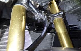 HONDA CBR250RR 2025 MC51