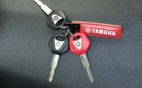 YAMAHA YZF-R1 2023 RN65J