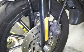 HARLEY XL883N 2013