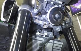 YAMAHA MT-25 2010 RG43J