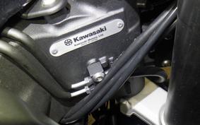 KAWASAKI NINJA 1000SX 2024 ZXT02K