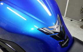KAWASAKI NINJA 250 EX250L