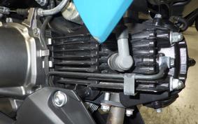 KAWASAKI Z125 PRO