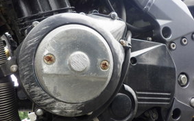 KAWASAKI XANTHUS 1996 ZR400D
