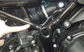 KAWASAKI Z900RS 2019 ZR900C