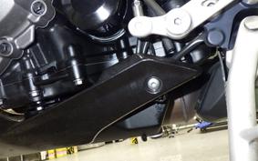 TRIUMPH SPEED TRIPLE RR 2024