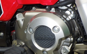 HONDA CT125 HUNTER CUB 2025 JA55