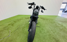 HARLEY XL883N 2010 LE2