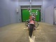 Фото Harley FLSTS 1340 1999 с японского аукциона