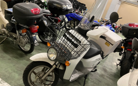 HONDA  BENLY  PRO  AA05