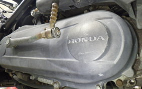 HONDA ZOOMER 2023 AF58