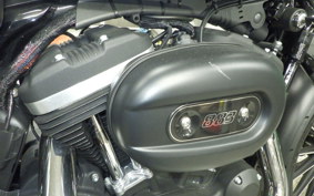 HARLEY XL883N 2014