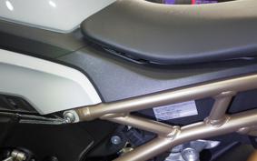 BMW S1000R 2022