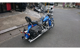 HARLEY FLSTC 1996 BJL