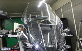 TRIUMPH TIGER 900 GT PRO 2025
