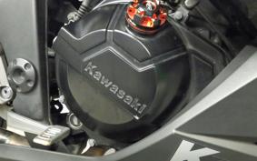 KAWASAKI NINJA 250 2021 EX250L
