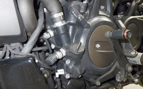 HARLEY RH1250S 2023