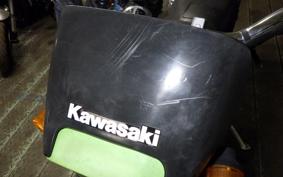 KAWASAKI SUPER SHERPA KL250G
