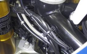 BMW G310GS