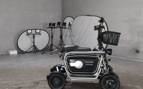 OTHER MINI BIKE ..